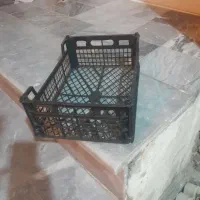 سبد ۶ کیلویی سالم
