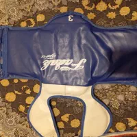 هوگوی ورزشی