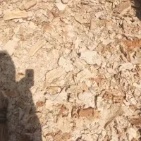 نان خشک تمیز بدون کپک