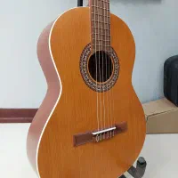 گیتار آکبند پارسی parsi مدل m5