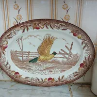 بزرگترین سایز دیس قرقاول