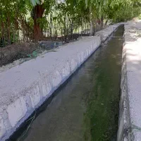 فروش باغ ۵۰۰۰متری شهرستان صحنه روستای بیدسرخ