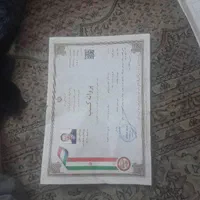 قالیشویی شهرری دولت آبادکیانشهر متری۴۰هزار