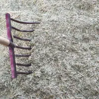 علف جار درجه یک|لوازم جانبی حیوانات|موچش, |دیوار