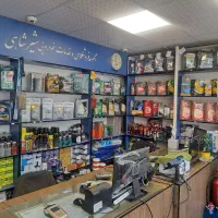 کارگر ماهر تعویض روغنی