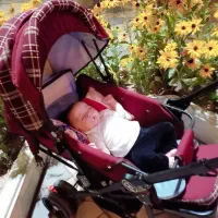 میز چرخ خیاطی و اتو. سرویس کالسکه و کریر و روروعک