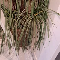 گلدان مصنوعی