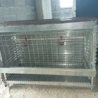 قفس مرغ تخمگذار