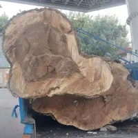 فروش چوب گردو عناب و چنار خشک