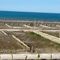 لاین یک دریا زیباکنار سنددار پروانه۳۵۵|فروش زمین و ملک کلنگی|رشت, کاکتوس|دیوار