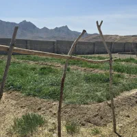 فروش زمین ۵۰۰۰ متری|فروش زمین و ملک کلنگی|نطنز, |دیوار