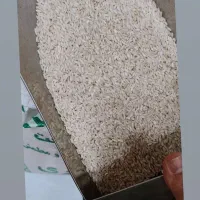 برنج عنبربو درجه یک|خوردنی و آشامیدنی|شاهینشهر, حافظ جنوبی|دیوار