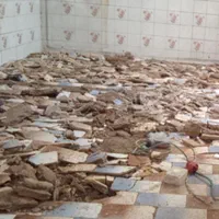 پیکور کار حرفه ای|خدمات پیشه و مهارت|یزد, |دیوار