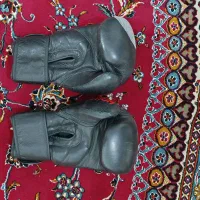 دستکش بوکس ونوم چرم|تجهیزات ورزشی|اصفهان, فجر|دیوار