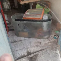 اکواریوم شیشه خم