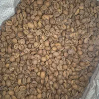 ۸ کیلو قهوه درجه ۱ رُست متوسط دانه کامل