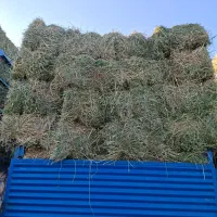 خرید و فروش یونجه ،علف،کاه