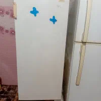 یخچال ۱۰ پوتی