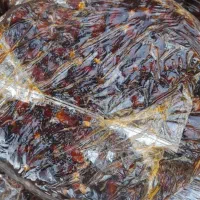 خرما گنطار درجه یک|خوردنی و آشامیدنی|اهواز, ۳۰ متری|دیوار