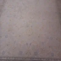 3عددفرش ماشینی 700شانه