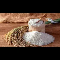برنج طارم هاشمی درجه یک