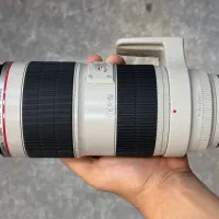 لنز Canon 70-200 II|دوربین عکاسی و فیلم‌برداری|تهران, بهار|دیوار