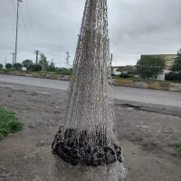 تور ماهیگیری، سالی ..