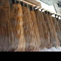 خرید و فروش مو  در مرکز اصلی قم