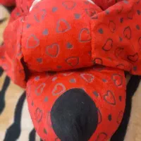 هر چی بخری ۴۹۹تومن