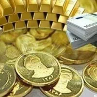 پرداخت سرمایه و مشارکت