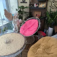 صندلی ویلایی