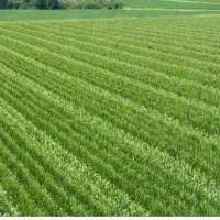 فروش خاک مرغوب کشاورزی به تیراژ بالا