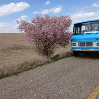 مینی بوس مدل 56