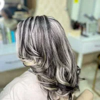 تخفیف ویژه ۵۰ ٪اموزش لاین های زیبایی با مدرک معتبر|خدمات آموزشی|رشت, انصاری|دیوار