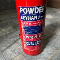 کپسول اتش نشانی ۲عدد