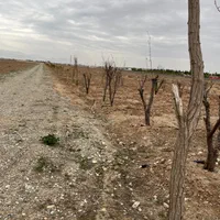 ۲۱۱متر زمین/سهیلیه/زعفرانیه/سنددار/اقساطی|فروش زمین و ملک کلنگی|کرج, فاز ۱ مهرشهر|دیوار