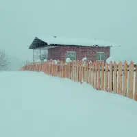 اجاره-سالیانه-ویلا-با-1000-متر-باغ-در-سوادکوه