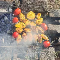 راه اندازی جگرسرا در مغازه کبابی
