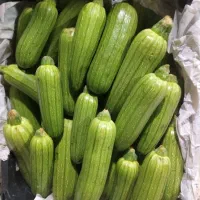 ارزان تر از همه جا