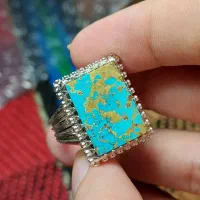 فیروزه مردانه اقتصادی