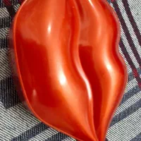 لوازم فیشال پاکسازی پوست|آرایشگاه و سالن‌های زیبایی|سمنان, |دیوار