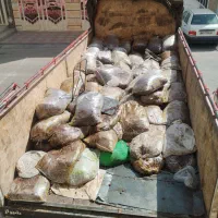 ضایعات خرما