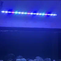 نور آکواریوم اپلیکیشن دار|ماهی|تهران, صادقیه|دیوار