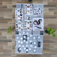 آموزش رزین آف برای عید