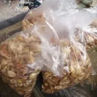 برگه زردآلو|خوردنی و آشامیدنی|یزد, |دیوار
