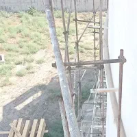 داربست