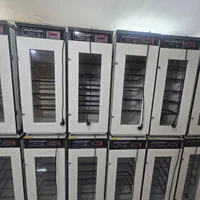 دستگاه جوجه کشی فوق پیشرفته هدایت|لوازم جانبی حیوانات|جیرفت, |دیوار