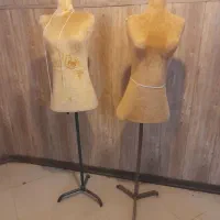 دوعدد مانکن