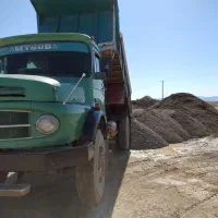 بتز تک کمپرسی ۵۵