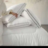 بالشت طبی نماینده گی اصلی
